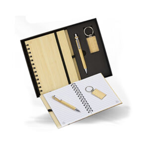 Kit Executivo Ecológico
